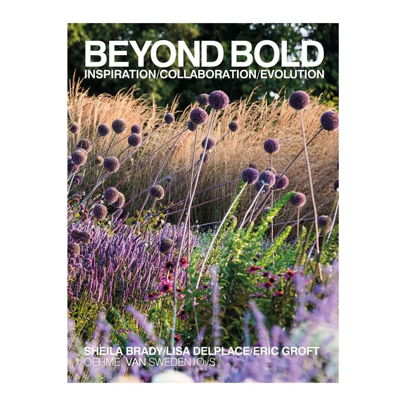 Beyond Bold: Inspiration, Collaboration, Evolution