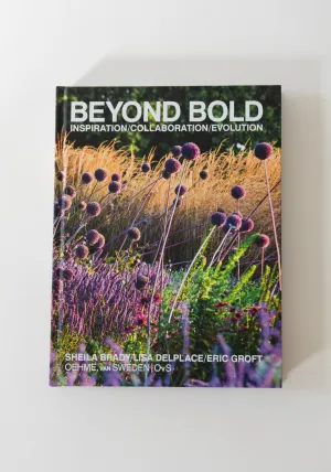 Beyond Bold: Inspiration, Collaboration, Evolution